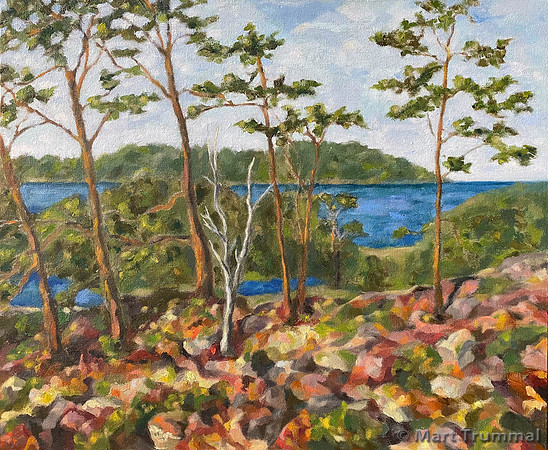 "Åland revisited I" 2019